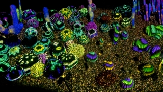 Creating the music of Electric Desert